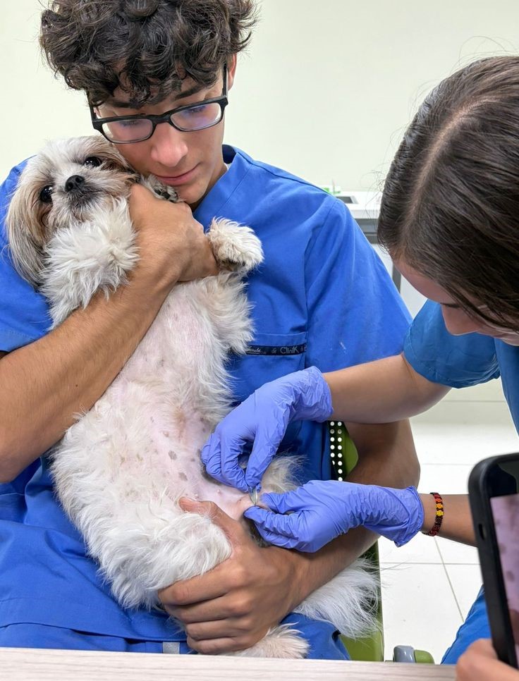 Puppy Health Checkup Insights