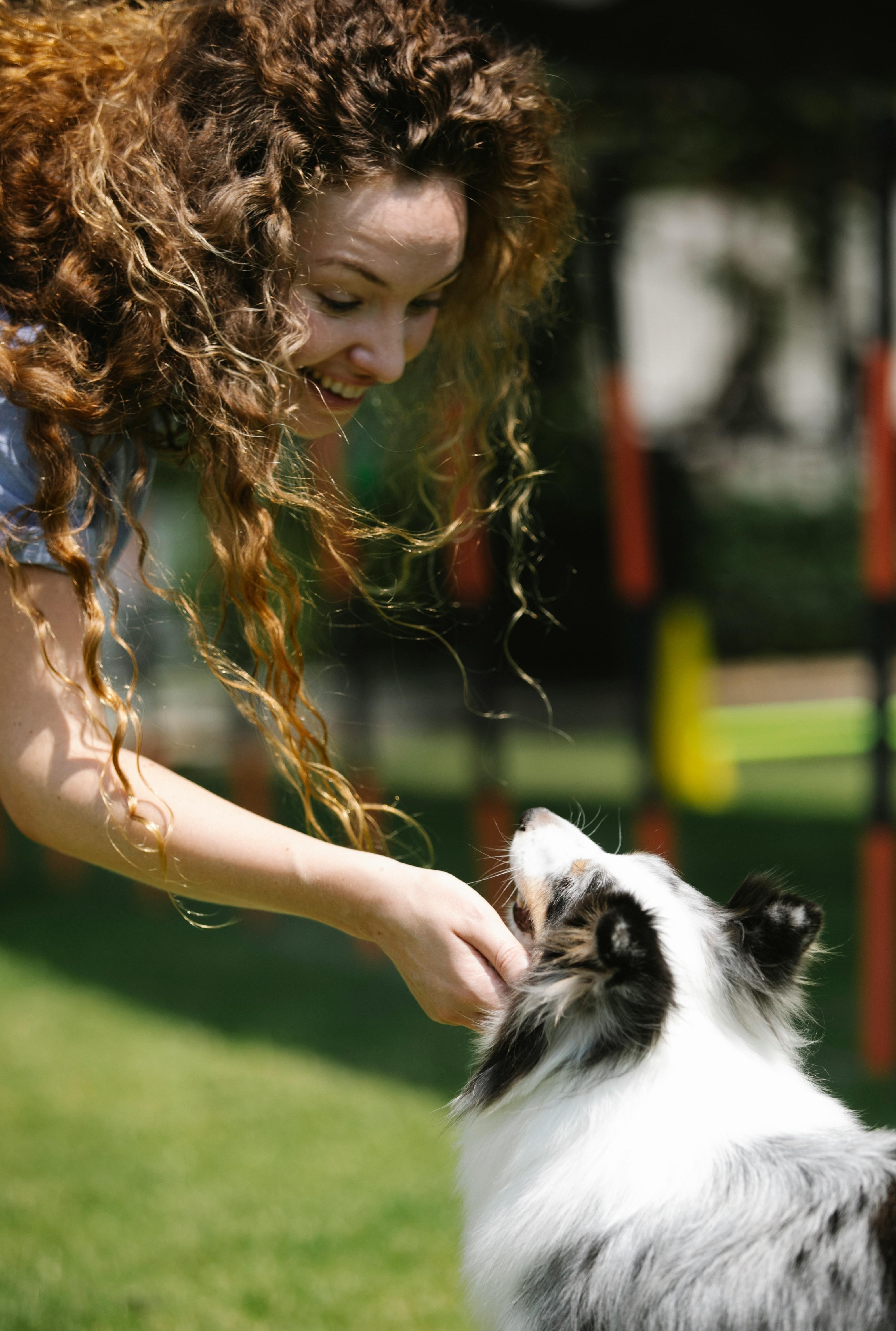 Puppy Behavioural Tips